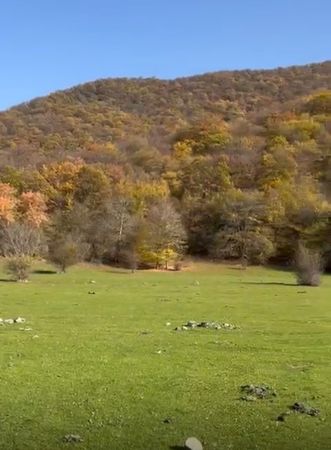 Torpaq Sahəsi, 12 Sot, Çıxarışlı, Oğuzda Torpaq – Satılır – ucuztap.az