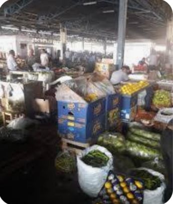 Hazır. Biznes Kənd Təsərrüfatı Biznesi Satılır