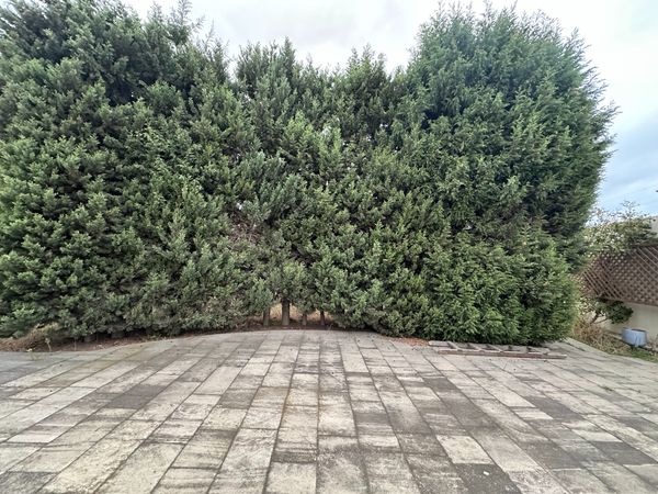 Torpaq sahəsi, 16 sot, Çıxarışlı, Novxanıda Torpaq, Abşeron