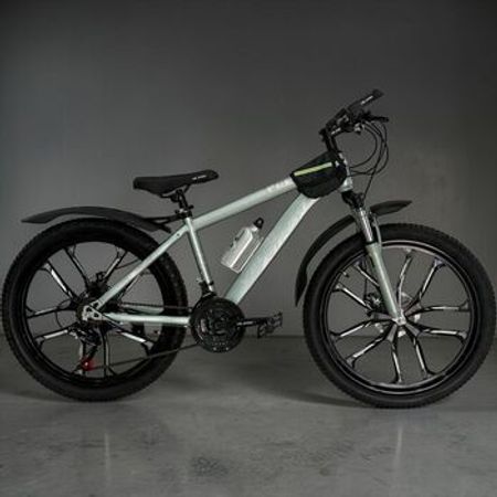 Velostrim 24-HZ-10D Q velosipedi