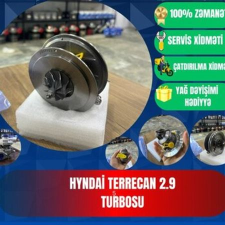 "Hyundai Terrecan 2.9" turbosu və kartrici