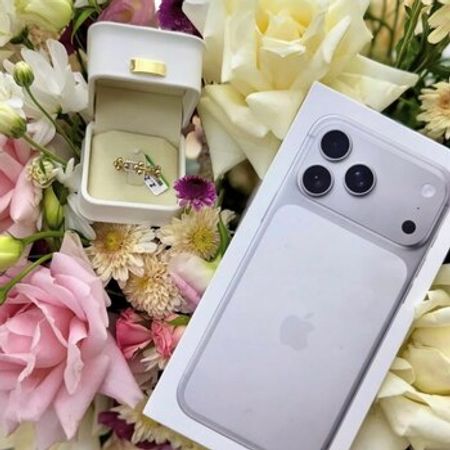 Apple iPhone 17 Pro Max Silver 2TB/12GB