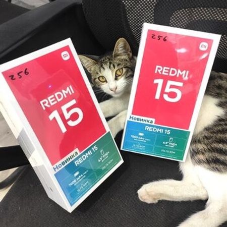 Xiaomi Redmi 15 Titan Gray 128GB/6GB