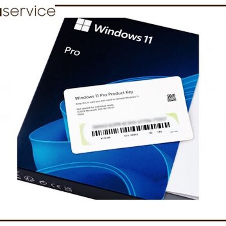 Windows 11 pro usb lisenziya