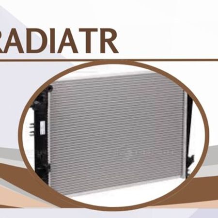 "Volkswagen Touareg" su radiatoru