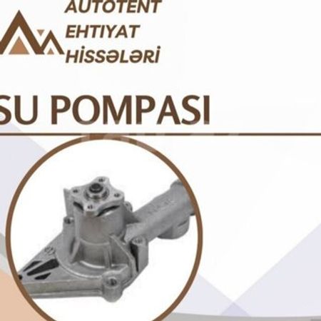 "Ford Focus" su pompası