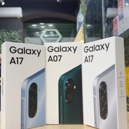Samsung Galaxy A17 Gray 256GB/8GB