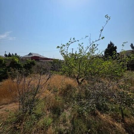 7 Sot torpaq sahəsi, Saray qəs. – Satılır – ucuztap.az