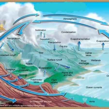 Su filterlərinin servisi