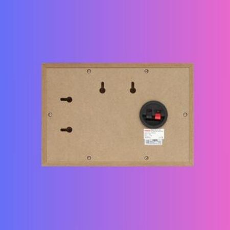 Divar dinamiki HED WS-401 WBL (LT WW-104) – Audio və video – ucuztap.az