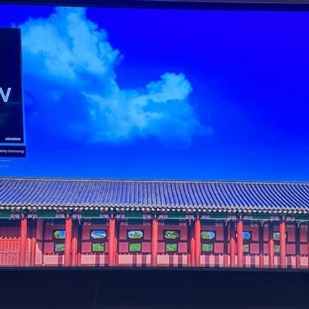 Televizor "Samsung 65DU8000"