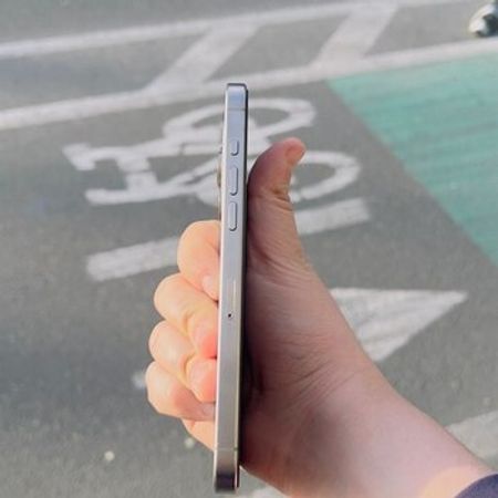 Apple iPhone 15 Pro Max Natural Titanium 256GB/8GB