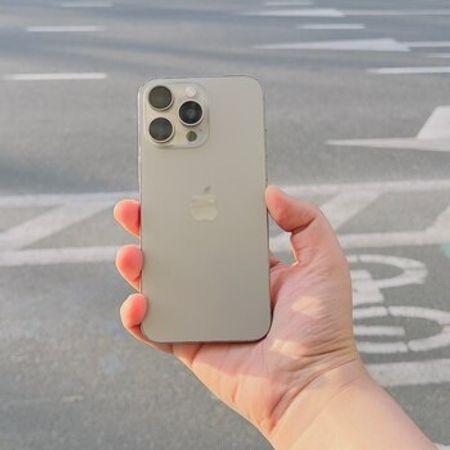 Apple iPhone 15 Pro Max Natural Titanium 256GB/8GB