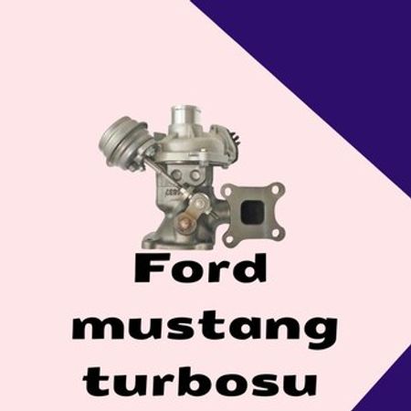 Ford Mustang 2.3 turbosu və turbo kartrici