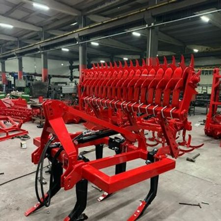 Toxum səpən Çizel, 2026 il