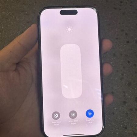 Apple iPhone 16 Pro Black Titanium 256GB/8GB