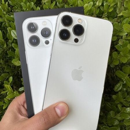 Apple iPhone 13 Pro Max Silver 256GB/6GB
