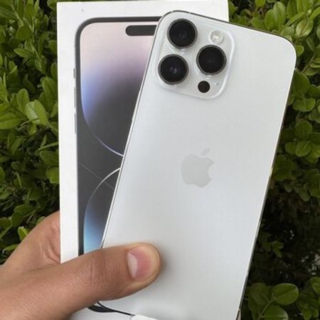 Apple iPhone 14 Pro Max Silver 128GB/6GB