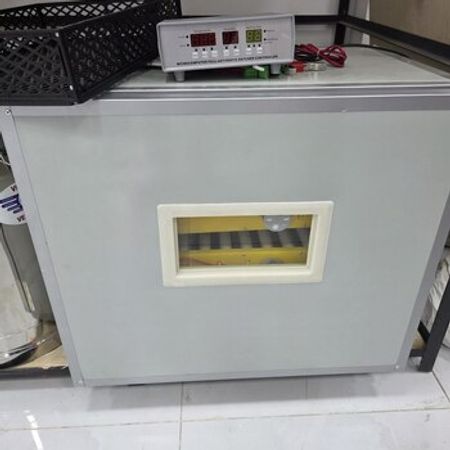 Zavod istehsalı inkubatorlar