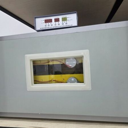 Zavod istehsalı inkubatorlar – Biznes üçün avadanlıq – ucuztap.az