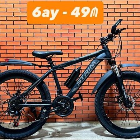 Velosiped "Strim-F 24"