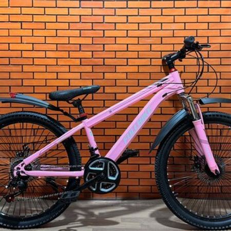Velosioed 24 Fullbike-F