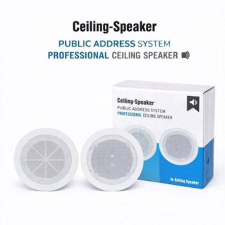 Tavan Kalonka (Ceiling Speaker)