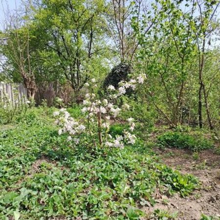 10 sot torpaq sahəsi, Qusar r.