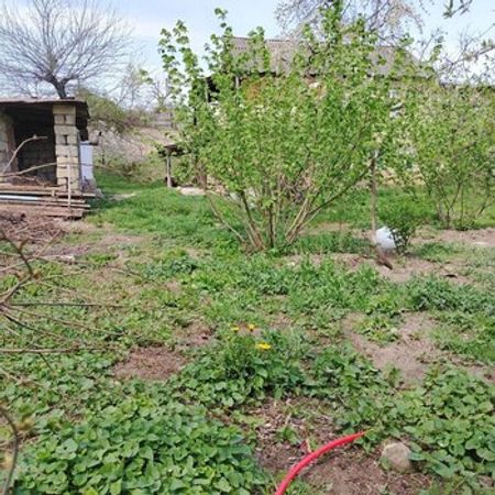10 Sot torpaq sahəsi, Qusar r. – Torpaq – ucuztap.az