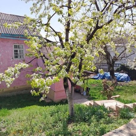 10 sot torpaq sahəsi, Qusar r.