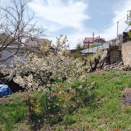 10 Sot torpaq sahəsi, Qusar r. – Torpaq – ucuztap.az