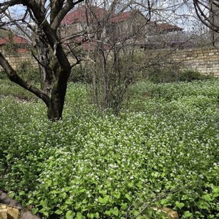 5 sot torpaq sahəsi, Qusar r.