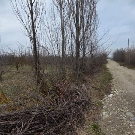 12 sot torpaq sahəsi, Qusar r.