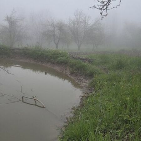 30 sot torpaq sahəsi, Qusar r.