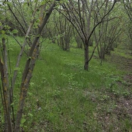 27 sot torpaq sahəsi, Qusar r.