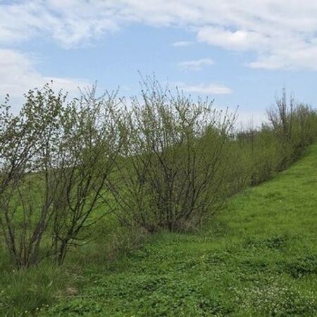 47 sot torpaq sahəsi, Qusar r.