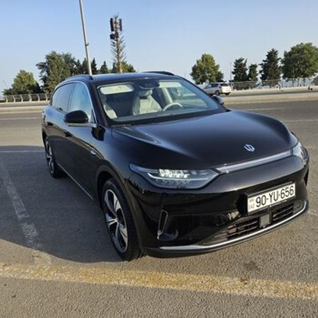 Leapmotor C11 icarəsi