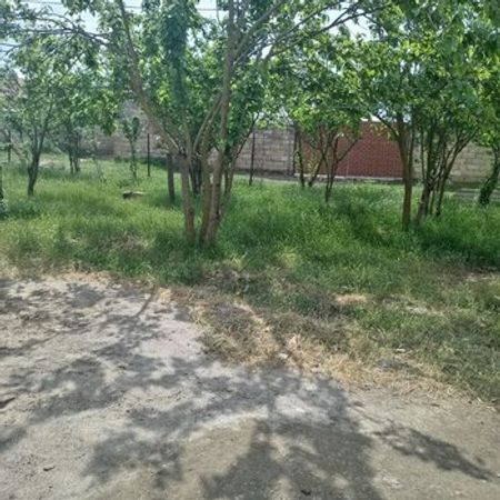 Həyət Evi, Masallı r. – Azərbaycan – ucuztap.az