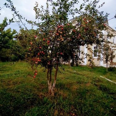 Həyət Evi, Xudat ş. – Həyət evi – ucuztap.az