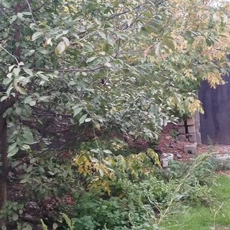 Həyət Evi, Xaçmaz ş. – Azərbaycan – ucuztap.az