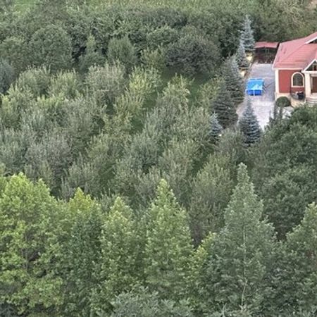 Bağ Evi Kirayə Verilir, Qusar r. – Azərbaycan – ucuztap.az