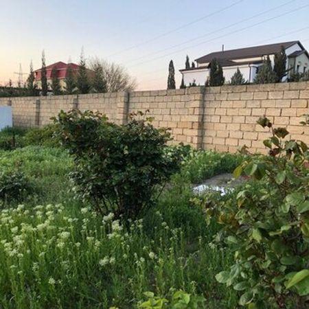 4.75 Sot Torpaq Sahəsi, Yeni Saray qəs. – Azərbaycan – ucuztap.az