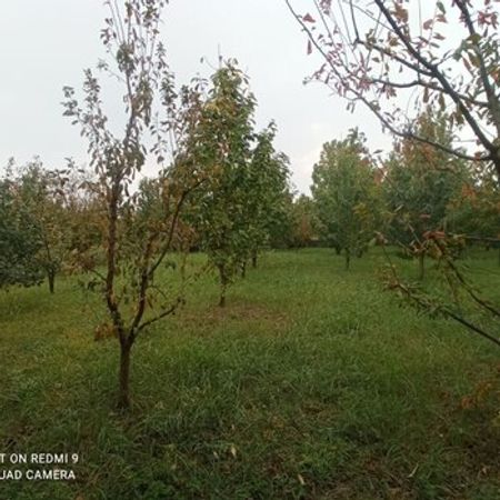 8 Sot Torpaq Sahəsi, Quba r. – Azərbaycan – ucuztap.az