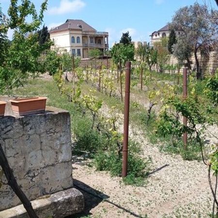 23 Sot Torpaq Sahəsi, Novxanı qəs. – Azərbaycan – ucuztap.az