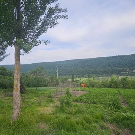 12 Sot Torpaq Sahəsi, Qusar r. – Azərbaycan – ucuztap.az