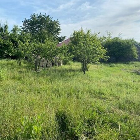 6 Sot Torpaq Sahəsi, İsmayıllı r. – Azərbaycan – ucuztap.az