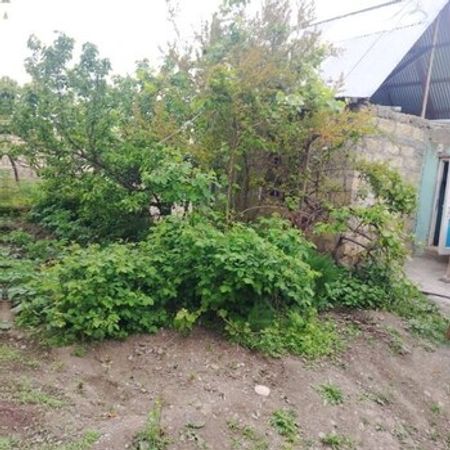 2.50 Sot Torpaq Sahəsi, Gəncə ş. – Azərbaycan – ucuztap.az