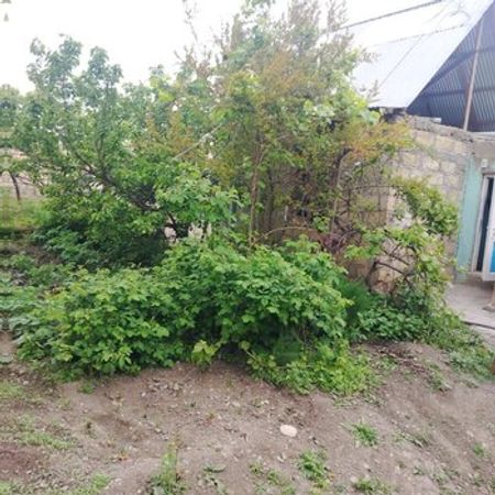 2.50 Sot Torpaq Sahəsi, Gəncə ş. – Azərbaycan – ucuztap.az