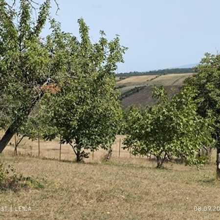 27 Sot Torpaq Sahəsi, Quba r. – Azərbaycan – ucuztap.az