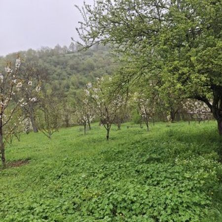 15 Sot Torpaq Sahəsi, Quba r. – Azərbaycan – ucuztap.az